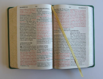 Biblia, Biblia Letra Grande, Simil Piel, Color Verde Con Pajaros, Version Cantos Pintados, RVR1960