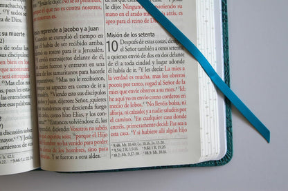 Biblia Letra Gigante, Símil Azul con Pájaros(Edición cantos pintados), RVR1960