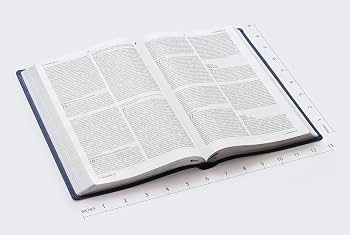 Biblia, Bilingual Bible, Hardcover, NIV/NVI