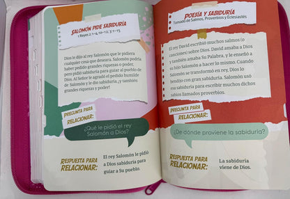 Biblia Letra Grande Rosa Para Niñas, Interactiva Símil Piel Con Cierre Indice, RVR1960