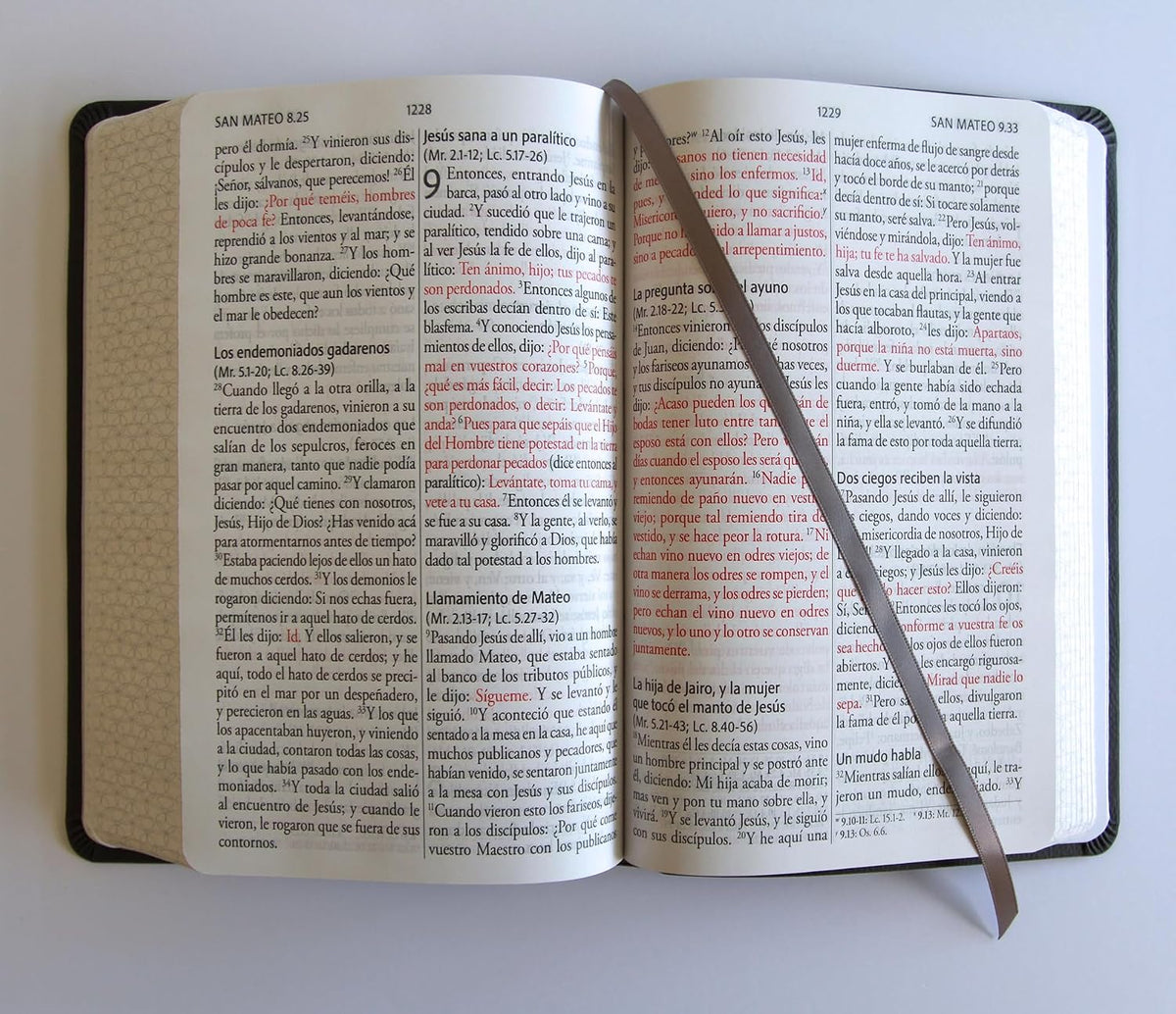 Biblia, Biblia Letra Grande, Simil Piel, Color Gris, Cantos Pintados, RVR1960