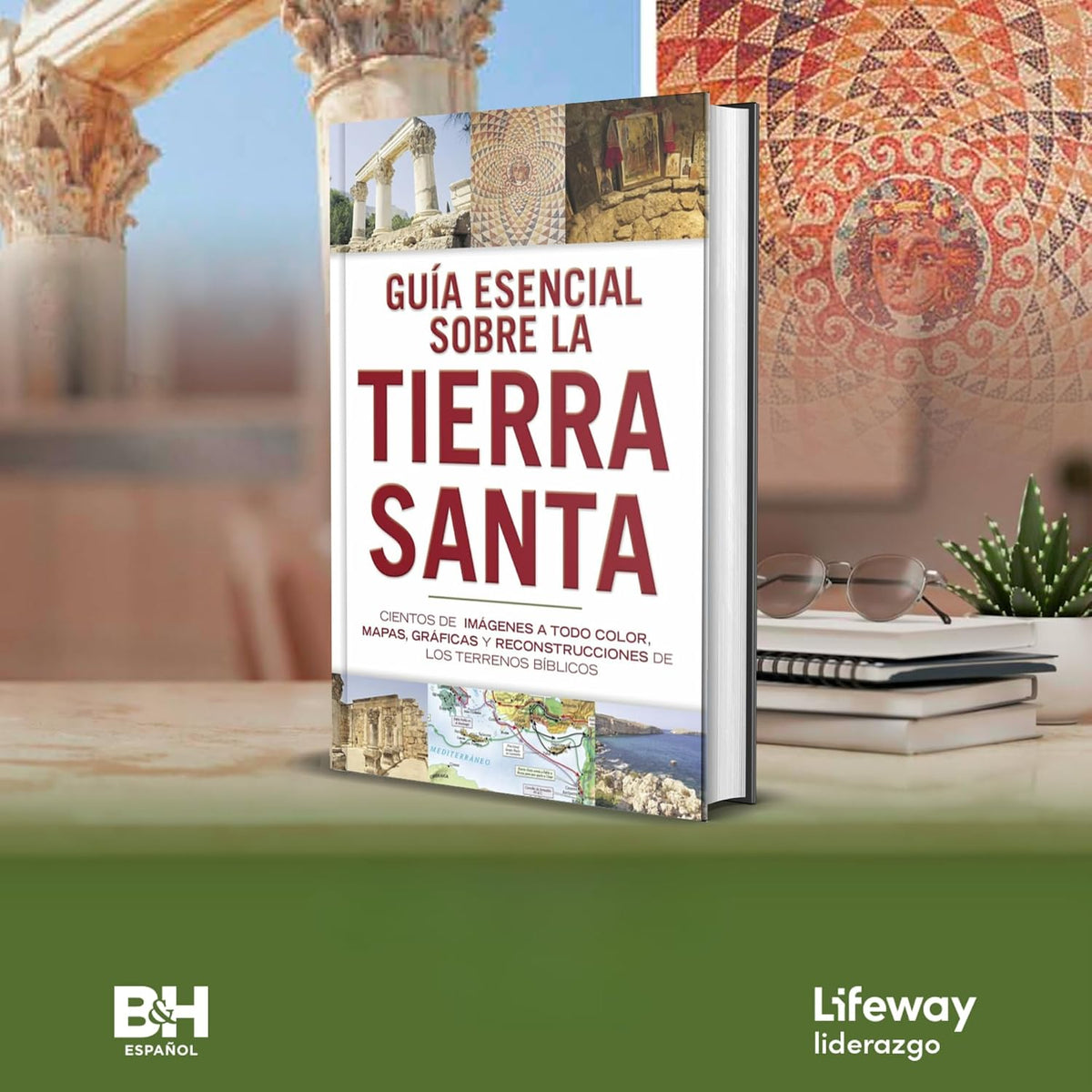 Guía esencial sobre la Tierra santa