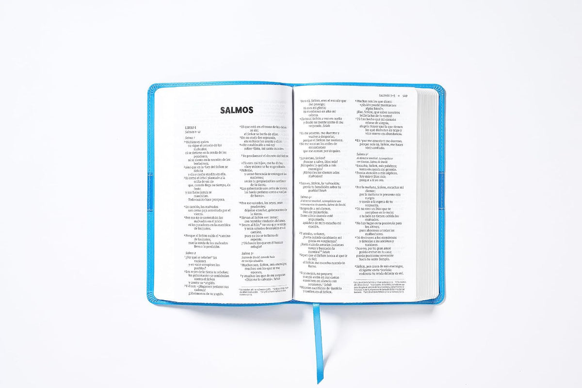 Biblia para niños Blue SKY, NVI