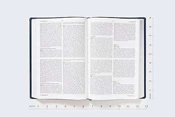 Biblia Bilingue, Azul Marino, Piel Especial - NVI