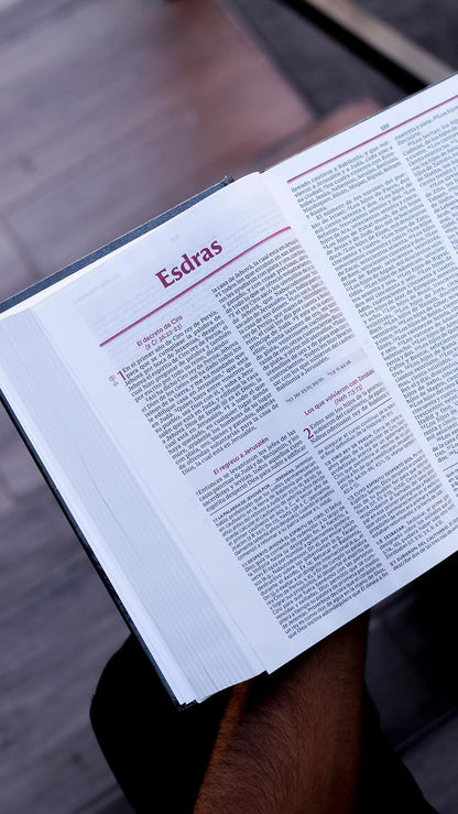 Biblia Vida Plena, RVR60