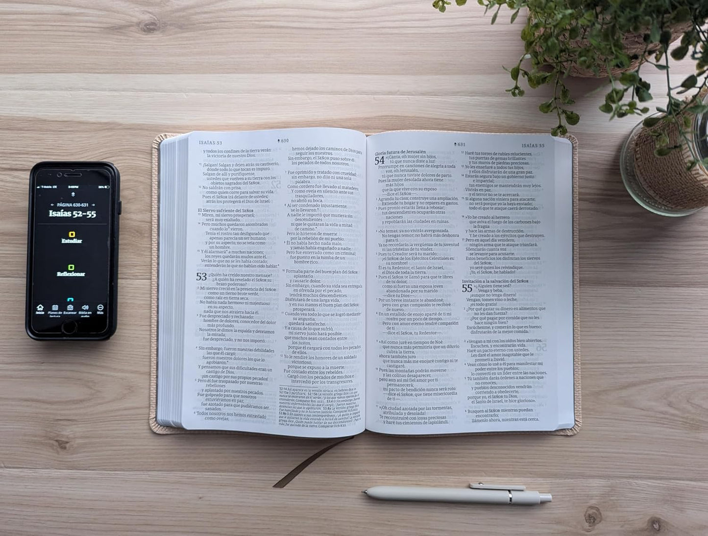 Biblia NTV Beige Letra Grande, Valor Premium Filament
