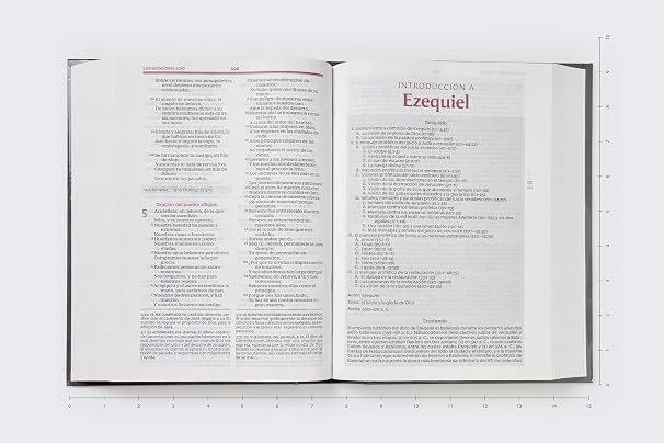 Biblia Vida Plena, RVR60