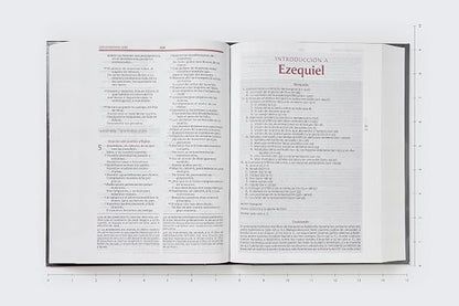 Biblia Vida Plena, RVR60