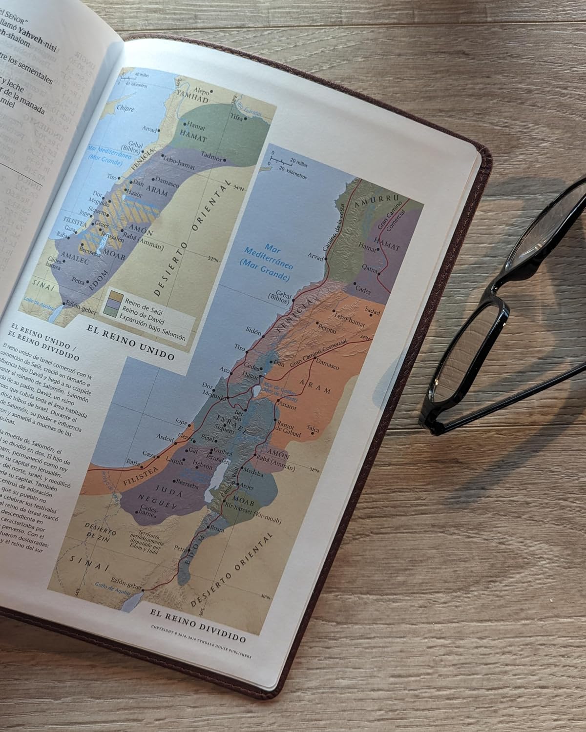 Santa Biblia Ntv Café Oscuro, Letra Súper Gigante