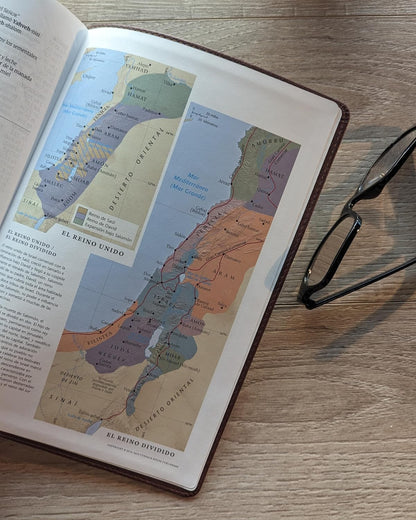 Santa Biblia Ntv Café Oscuro, Letra Súper Gigante