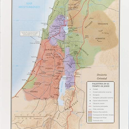 Biblia De Estudio Scofield - Rvr 1960