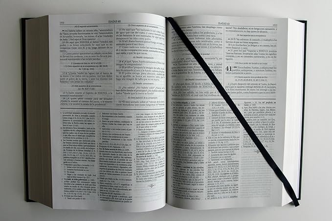 Biblia Biblia de estudio Dake, Tamaño Grande, Tapa Dura, Negra, RVR1960