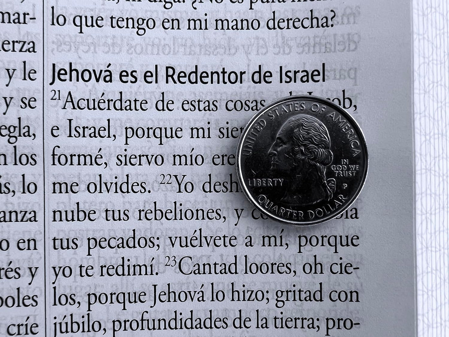 Biblia Letra Gigante, Símil Azul con Pájaros(Edición cantos pintados), RVR1960