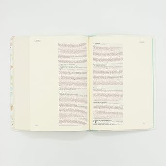Biblia Ilustra Tu Fe Verde Claro - Nvi