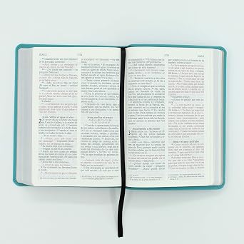 Biblia Turquesa, Letra Grande Tamaño Mediano - Nvi
