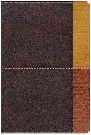 Biblia De Estudio Arco Iris Cocoa - Rvr 1960