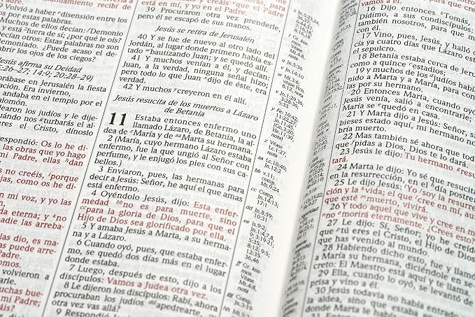 Biblia De Estudio Scofield - Rvr 1960
