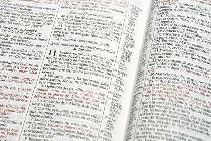 Biblia De Estudio Scofield - Rvr 1960