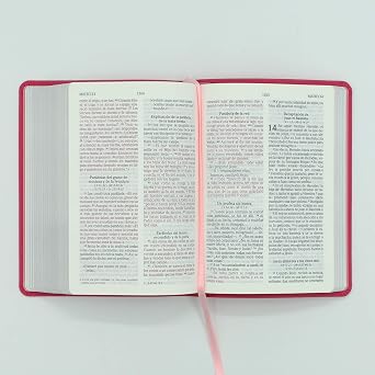 Biblia Letra Grande, Compacta Fucsia - NVI
