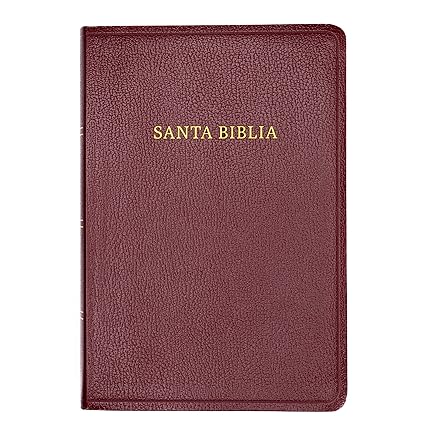 Santa Biblia Letra Gigante, Borgoña Imitación Piel, RVR 1960