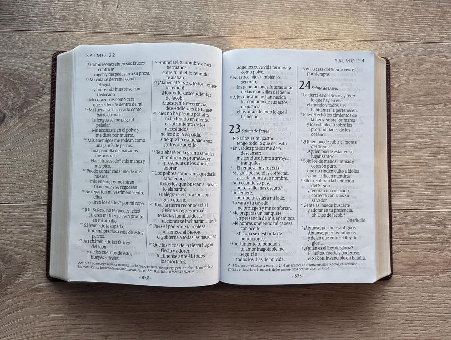 Santa Biblia Ntv Café Oscuro, Letra Súper Gigante