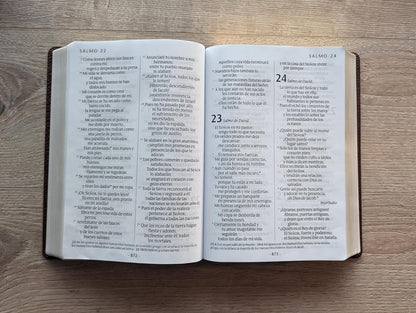 Santa Biblia Ntv Café Oscuro, Letra Súper Gigante