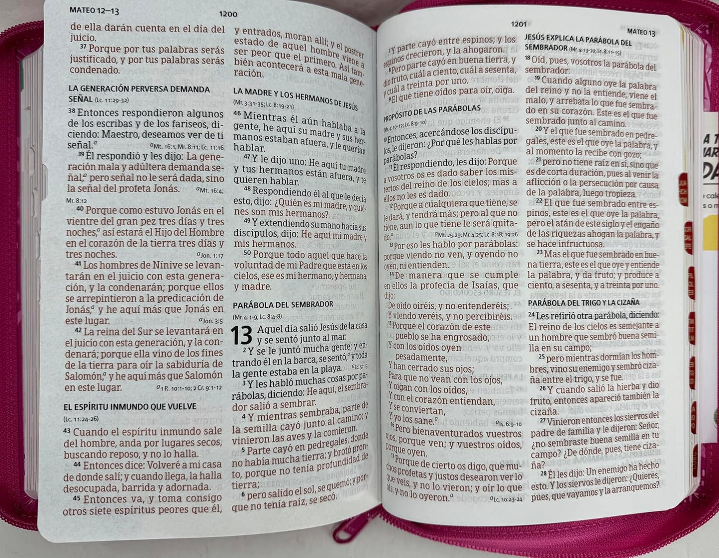 Biblia Letra Grande Rosa Para Niñas, Interactiva Símil Piel Con Cierre Indice, RVR1960