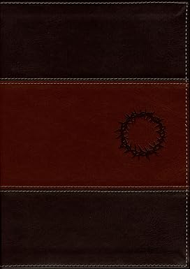 Biblia De Estudio Del Diario Vivir, Letra Grande, Ntv