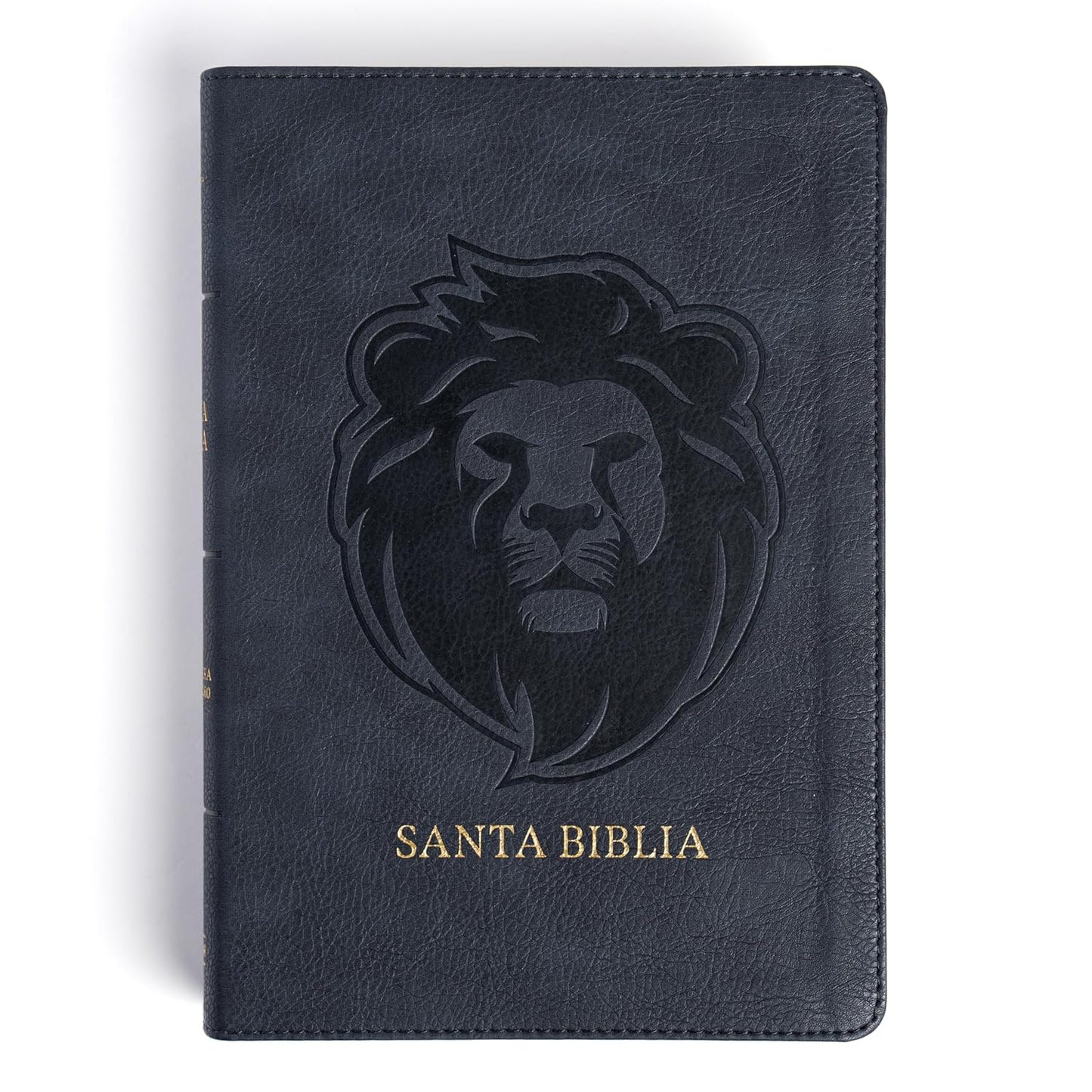 RVR 1960 Biblia Letra Grande Tamano Manual Edicion Especial, Ceniza, Simil Piel