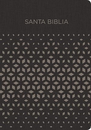 Biblia Para Regalos Y Premios, Símil Piel, Negro Y Plata, Rvr 1960