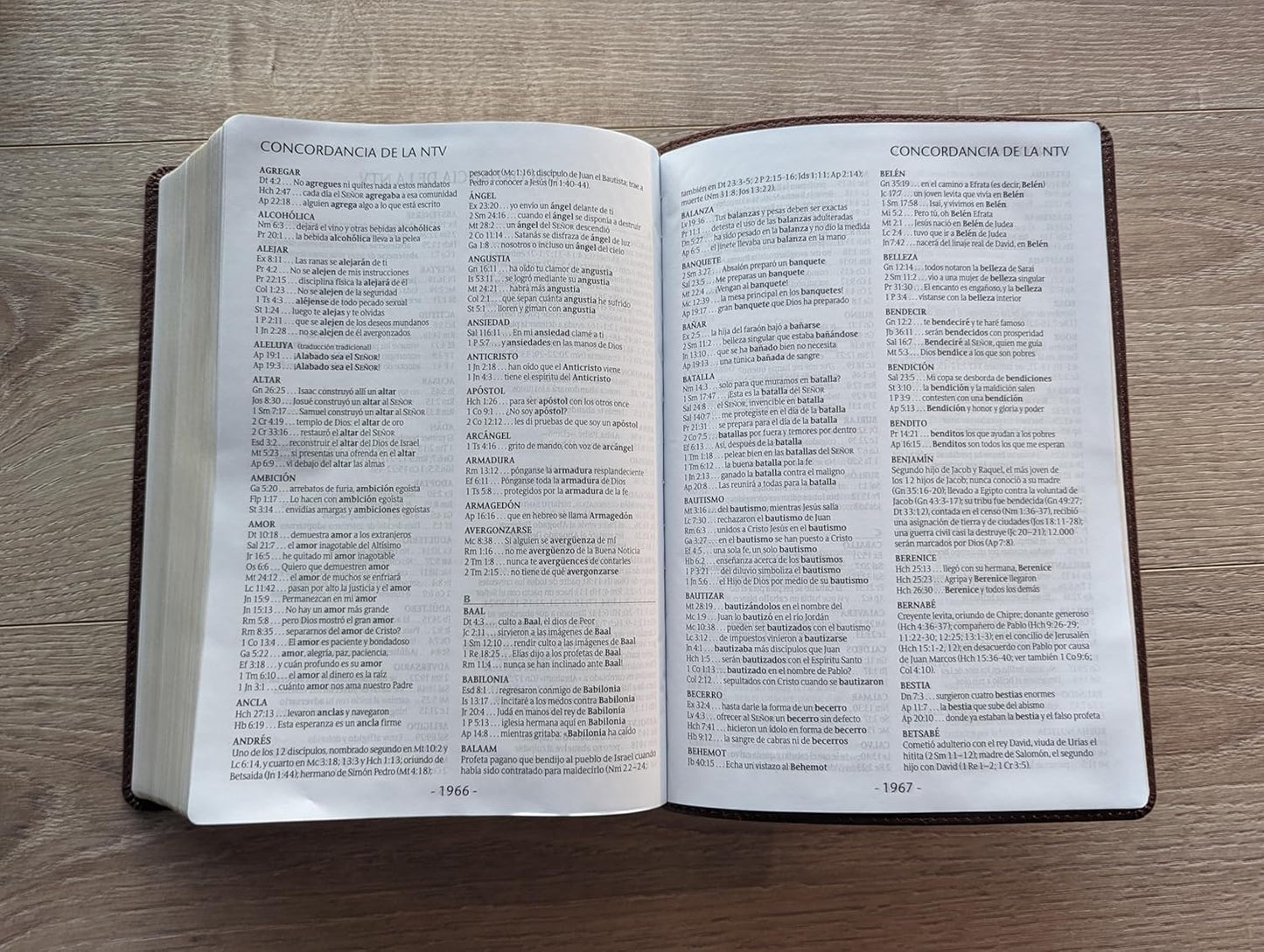 Santa Biblia Ntv Café Oscuro, Letra Súper Gigante