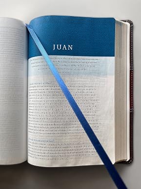 Biblia De Estudio Swindoll, Azul/Café - Ntv
