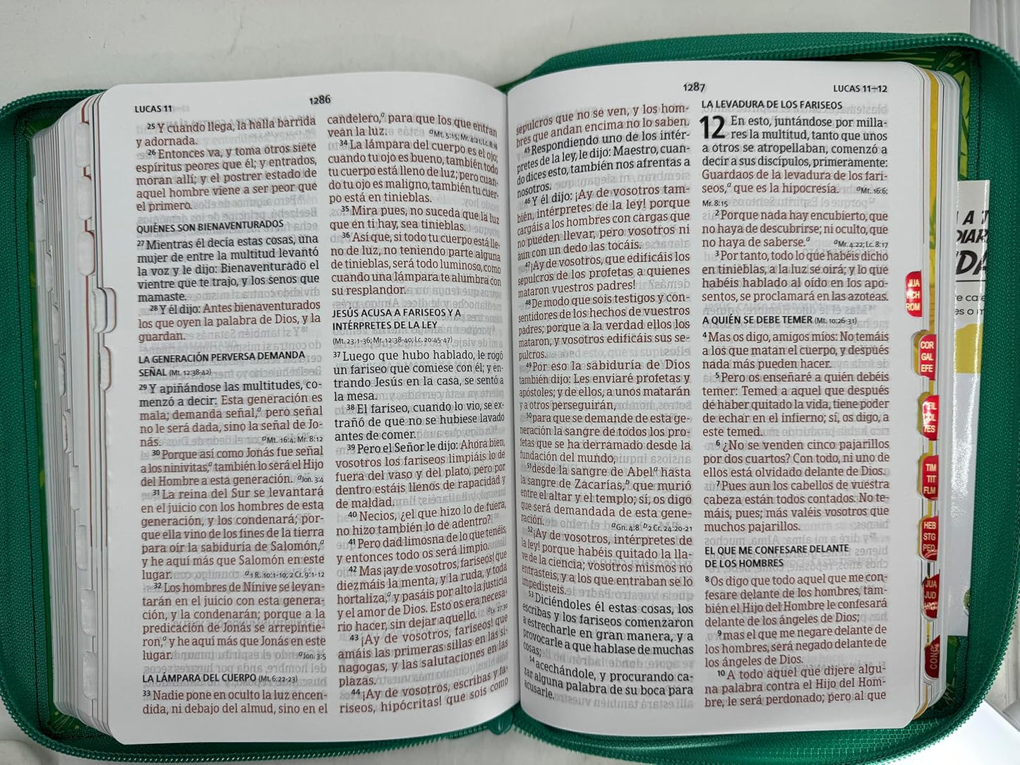 Biblia Interactiva Para Niños Letra Grande, Verde, RVR1960