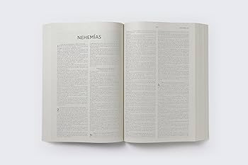 Biblia Edición económica, Tapa rústica, RVR1960