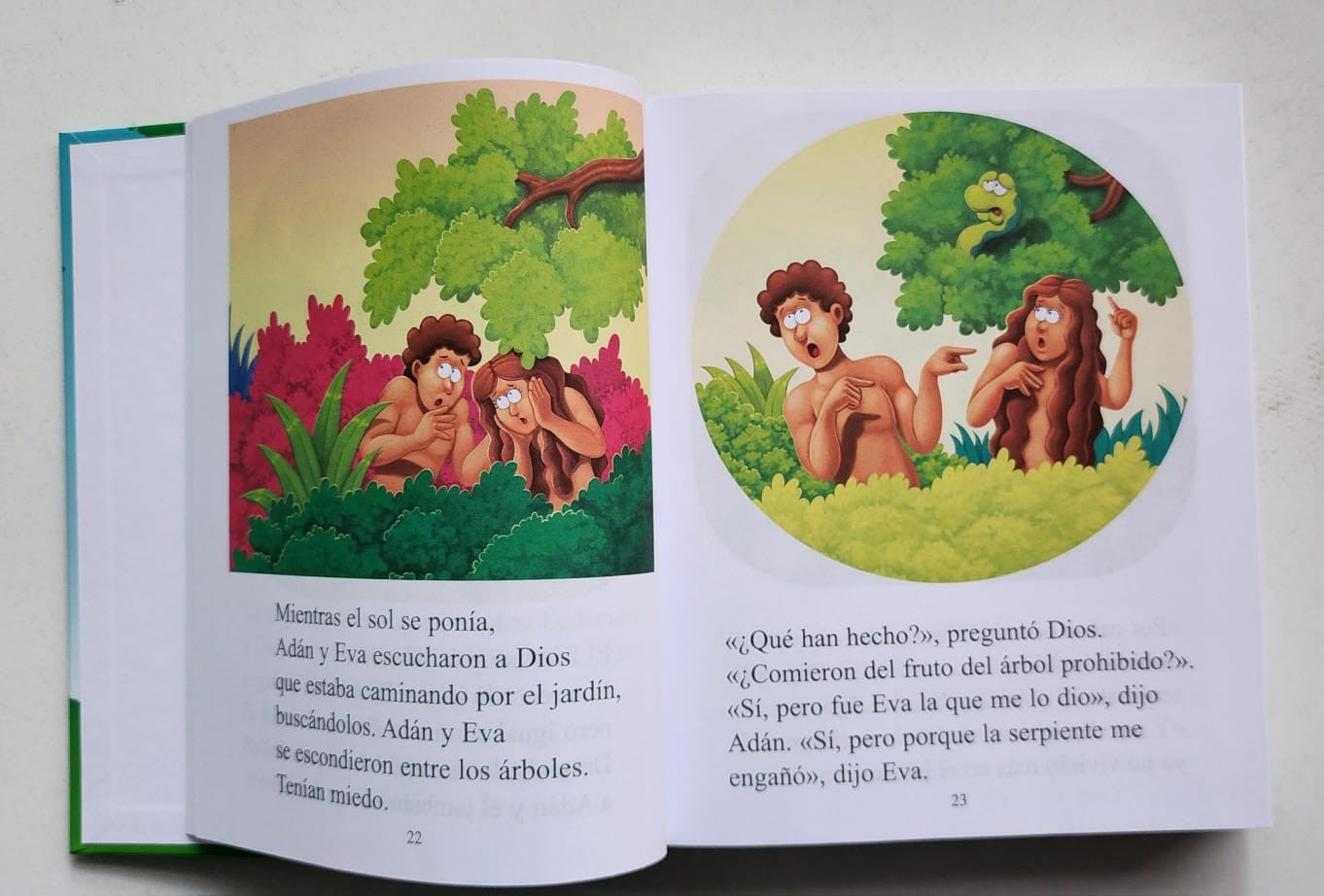 Biblia Para Principiantes - Zondervan