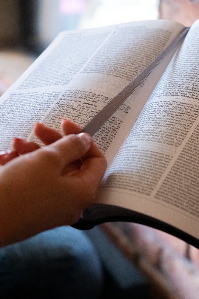 Biblia Bilingue, Azul Marino, Piel Especial - NVI