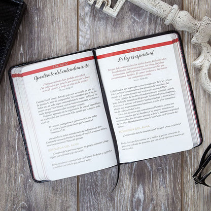 Libro Jesús En Rojo, 365 Meditaciones Sobre Las Palabras De Jesús -  Ray Comfort