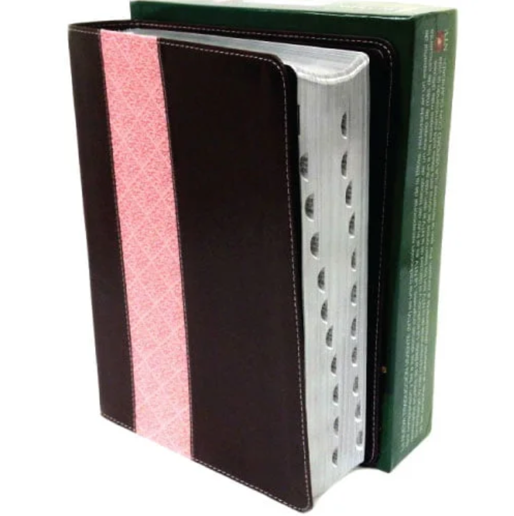 Biblia De Estudio Del Diario Vivir Negro/Rosado Con Índice, Ntv