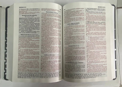 Biblia Para Regalos Y Premios, Símil Piel, Negro Y Plata, Rvr 1960