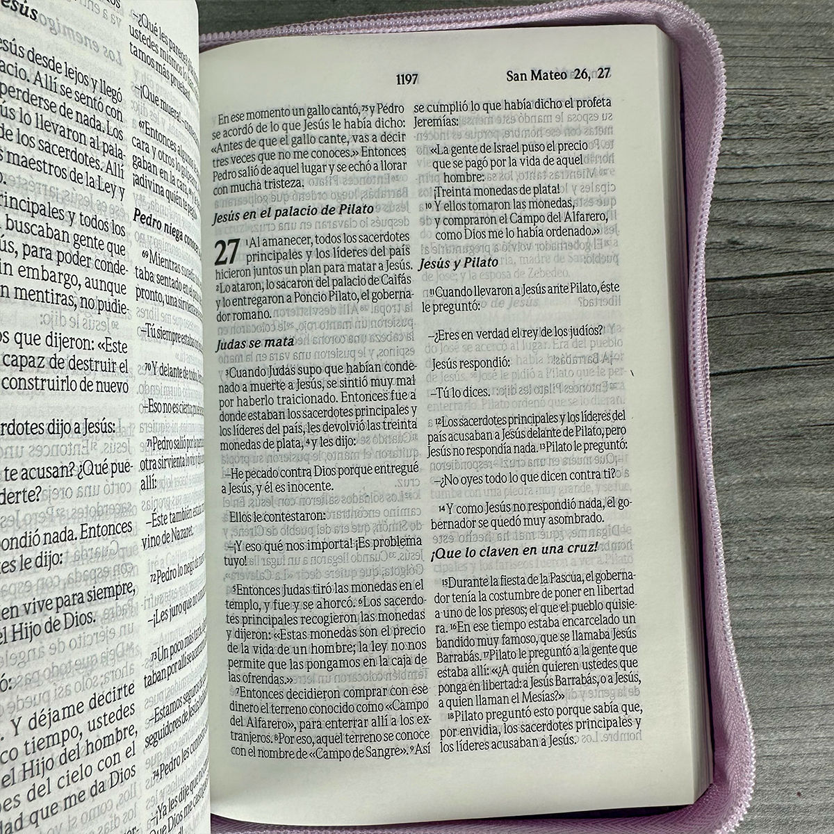 Biblia Flexible Lila Plateada Con Cierre - Tla