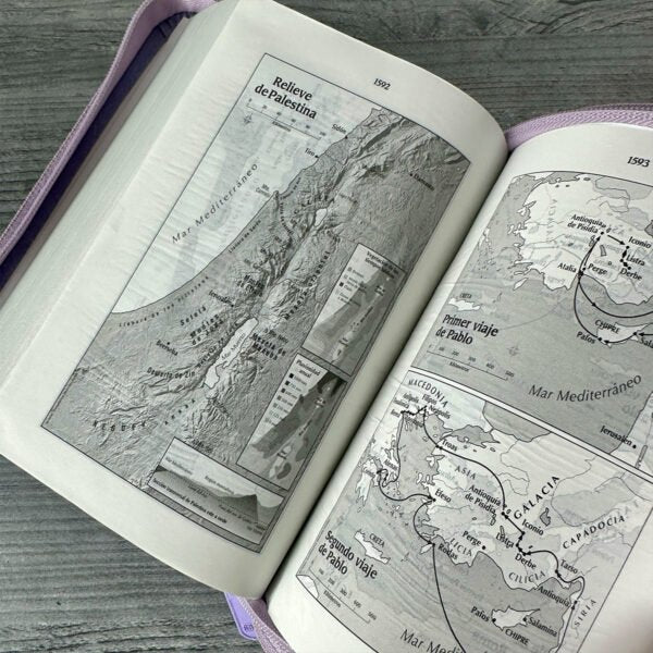 Biblia Flexible Lila Plateada Con Cierre - Tla