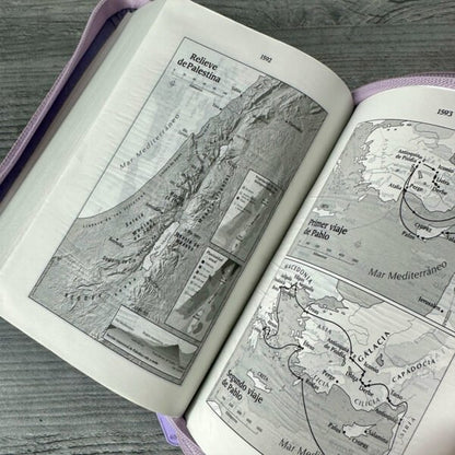 Biblia Flexible Lila Plateada Con Cierre - Tla