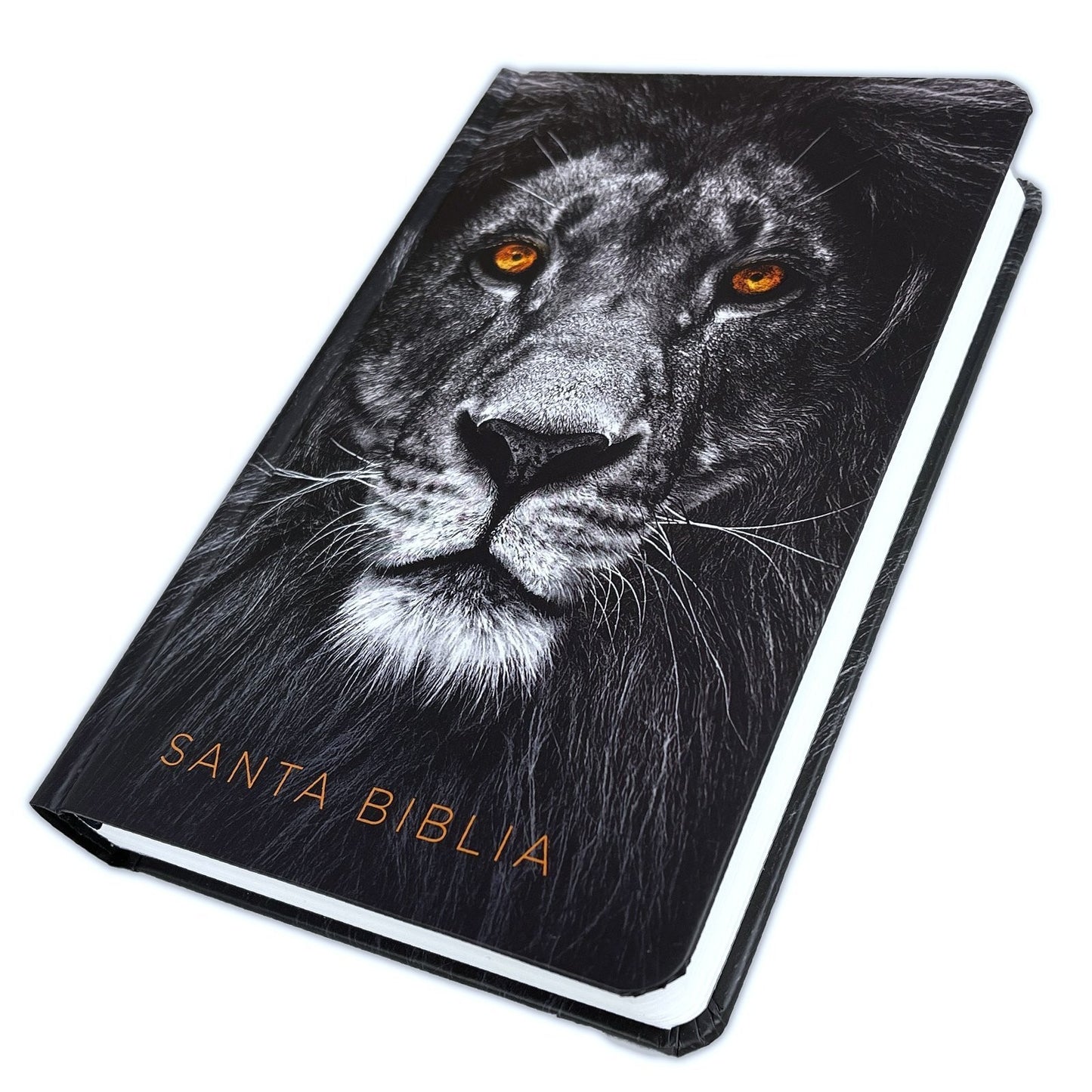 Biblia León De Judá, Letra Grande Tapa Dura Y Tamaño Manual - Rvr 1960