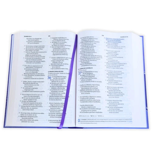 Biblia, Del Pescador, Mujer Virtuosa, RVR 1960