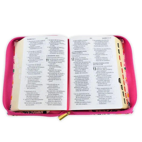 Biblia Compacta Letra Grande, Limitada 2025, Fucsia, RVR1960