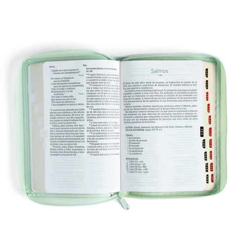 Biblia RVR1960 letra grande tamaño manual, menta