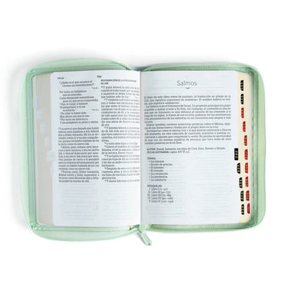 Biblia RVR1960 letra grande tamaño manual, menta