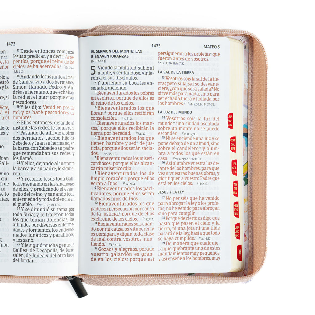 Biblia Letra Gigante Tamaño Manual, Rosa Cuarzo, RVR1960