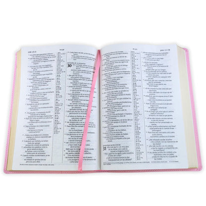 Biblia Referencia En Columna/ Rosa Sin Cierre/ L.G Con Filament, NTV