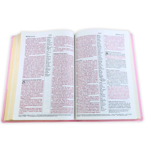 Biblia Referencia En Columna/ Rosa Sin Cierre/ L.G Con Filament, NTV